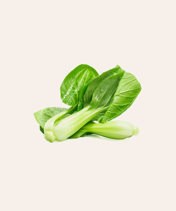 CHINESE CABBAGE